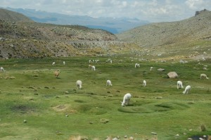 dovolená Peru