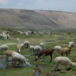 Zajímavá místa v Peru