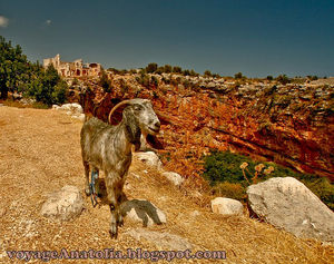 Temple of Zeus above Corycian Pit Cave