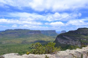 Bahia - Brazílie - příroda 2