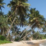 Srí Lanka- ráj na zemi